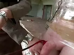 帕姆*格里尔的乳房时，为女同性恋者主导的年轻女孩